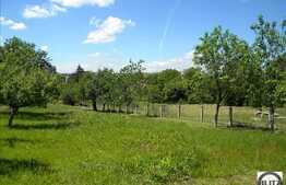 Zona Cu Multa Verdeata, Linistita , Intima ! 10 minute pana in centrul orasului!