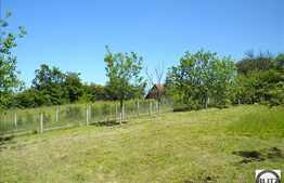 Zona Cu Multa Verdeata, Linistita , Intima ! 10 minute pana in centrul orasului!