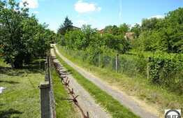 Zona Cu Multa Verdeata, Linistita , Intima ! 10 minute pana in centrul orasului!