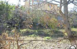 In Buna Ziua 1520 mp acces direct la strada asfaltata!