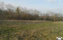 Teren de vanzare 1637 mp cu front de 52 ml. Utilitati la 100 ml