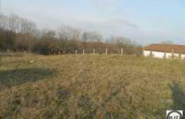 Teren de vanzare 1637 mp cu front de 52 ml. Utilitati la 100 ml