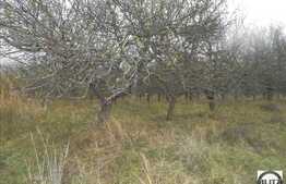 De vanzare 1317 mp, front 55,50 ml, CF, utilitati in apropiere, zona linistita