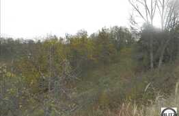 De vanzare 1317 mp, front 55,50 ml, CF, utilitati in apropiere, zona linistita