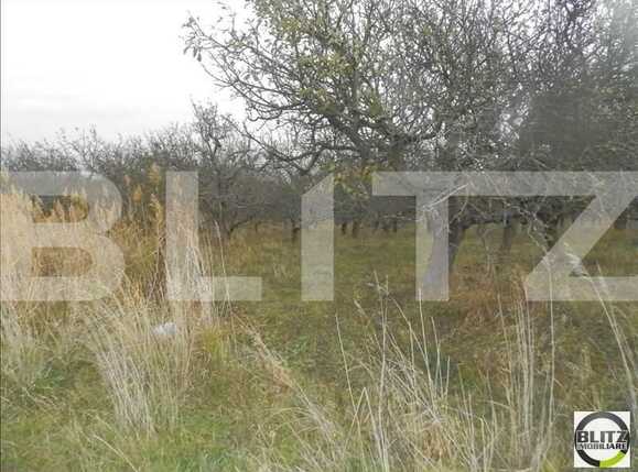 Teren de vânzare Bună Ziua - 22559TV | BLITZ Cluj-Napoca | Poza3