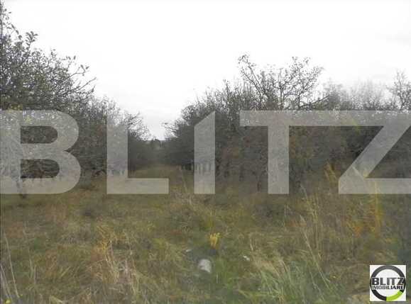 Teren de vânzare Bună Ziua - 22559TV | BLITZ Cluj-Napoca | Poza1