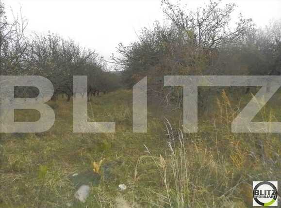 Teren de vânzare Bună Ziua - 22559TV | BLITZ Cluj-Napoca | Poza5