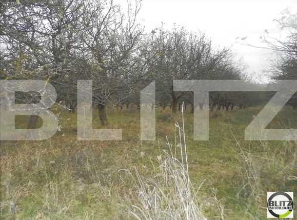 Teren de vânzare Bună Ziua - 22559TV | BLITZ Cluj-Napoca | Poza7