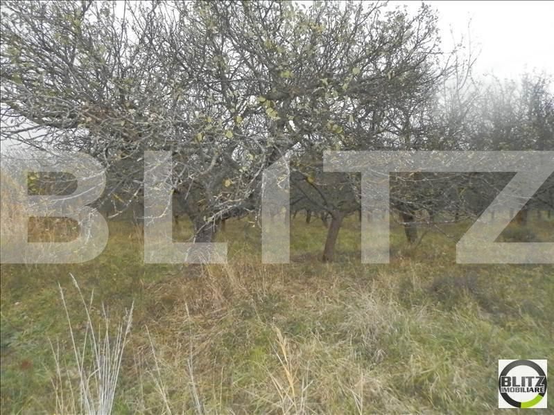 Teren de vânzare Bună Ziua - 22559TV | BLITZ Cluj-Napoca | Poza6