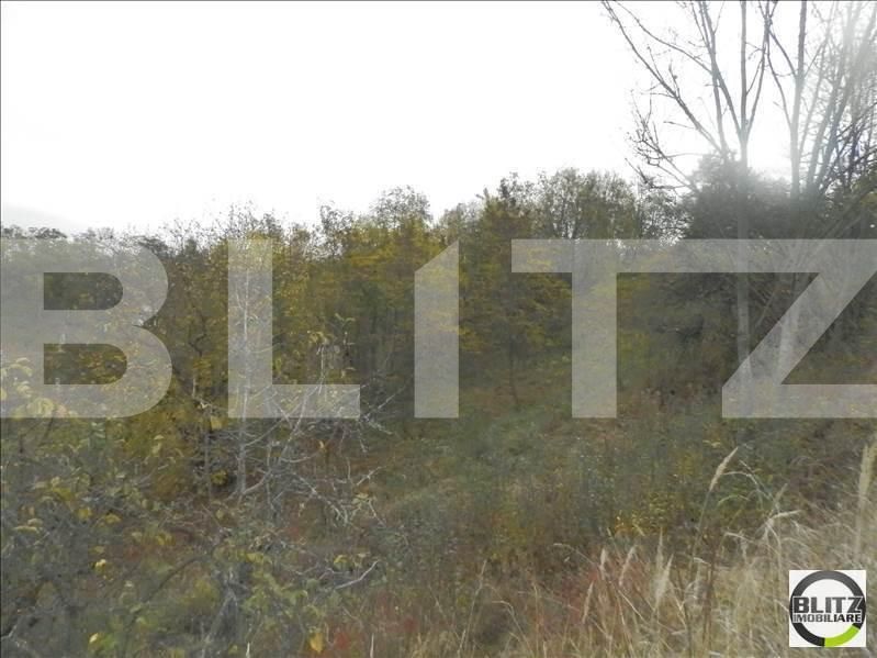 Teren de vânzare Bună Ziua - 22559TV | BLITZ Cluj-Napoca | Poza2