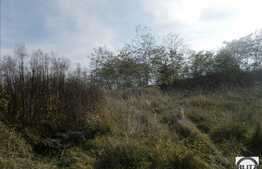 Teren 1645 mp, front 24 ml! Ideal pentru o casa sau un duplex! Locatie linistita