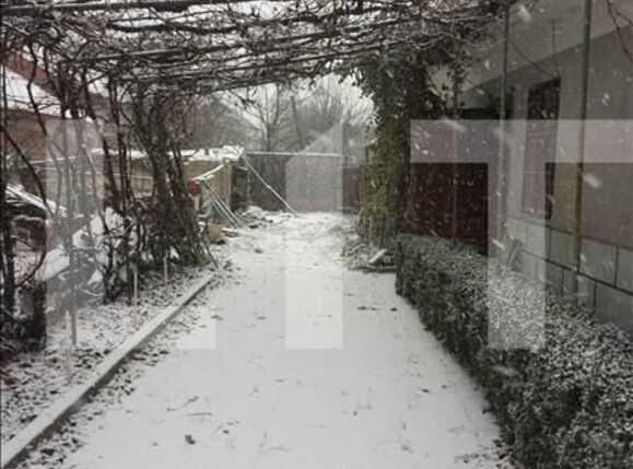 Teren de vânzare Bulgaria - 22566TV | BLITZ Cluj-Napoca | Poza4