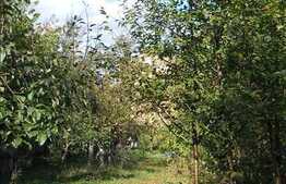 Teren pentru investitori. Pretabil constructie camin de studenti !