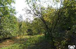 Teren pentru investitori. Pretabil constructie camin de studenti !