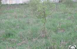 Teren de vanzare 809 mp, utilitati la front, zona de case