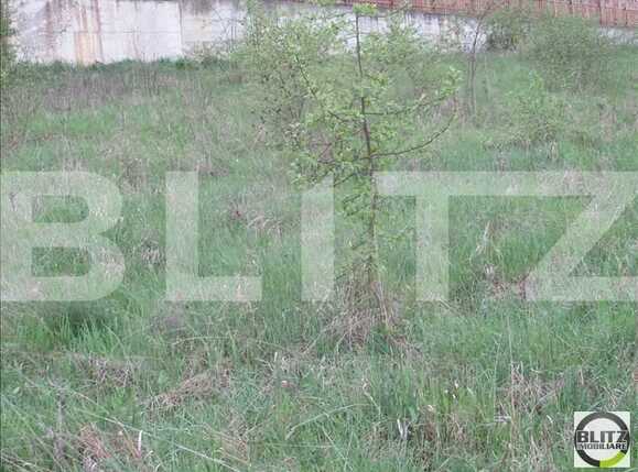 Teren de vânzare Baciu - 22571TV | BLITZ Cluj-Napoca | Poza3