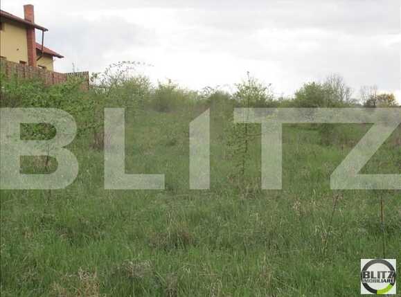Teren de vânzare Baciu - 22571TV | BLITZ Cluj-Napoca | Poza2