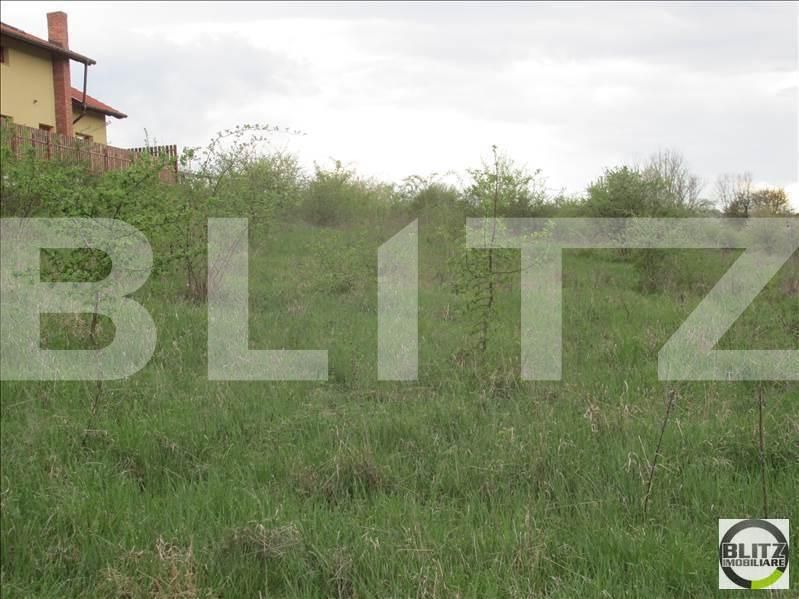 Teren de vânzare Baciu - 22571TV | BLITZ Cluj-Napoca | Poza2