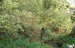 1056 mp in zona verde din centrul orasului!