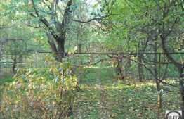 2900 mp in zona Pietei Cipariu!