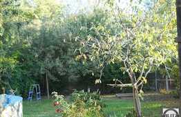 2900 mp in zona Pietei Cipariu!