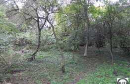 Teren de vanzare in Centru, zona Gradinii Botanice, 802 mp cu un front de 21 ml