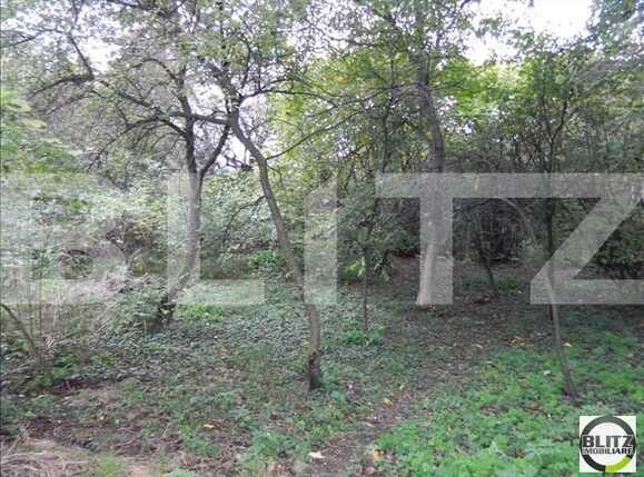 Teren de vânzare Central - 22579TV | BLITZ Cluj-Napoca | Poza1