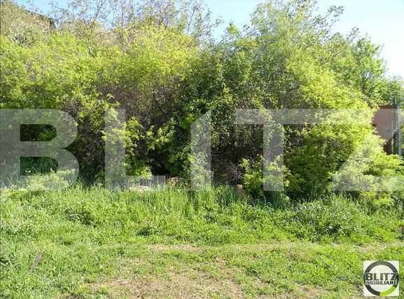 Teren de vânzare Baciu - 22580TV | BLITZ Cluj-Napoca | Poza2