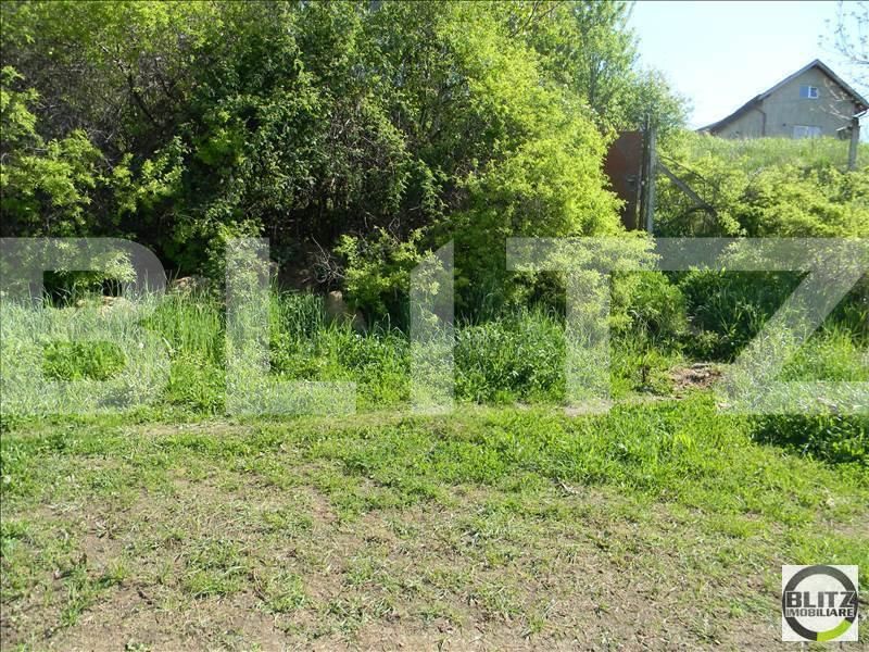 Teren de vânzare Baciu - 22580TV | BLITZ Cluj-Napoca | Poza3