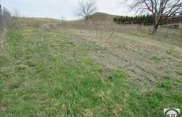 Teren intravilan, 600 mp, front 20 ml, zona Borhanci