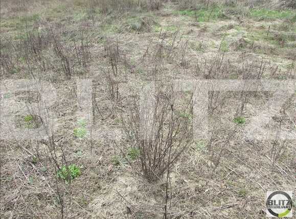 Teren de vânzare Borhanci - 22581TV | BLITZ Cluj-Napoca | Poza3