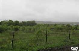 Teren de vanzare 650 mp, front 50 ml, PUZ in lucru