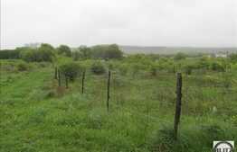 Teren de vanzare 650 mp, front 50 ml, PUZ in lucru