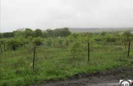 Teren de vanzare 650 mp, front 50 ml, PUZ in lucru