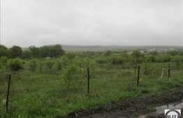 Teren de vanzare 650 mp, front 50 ml, PUZ in lucru