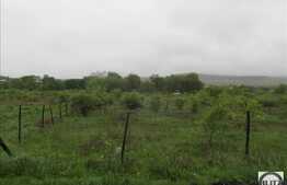 Teren de vanzare 650 mp, front 50 ml, PUZ in lucru