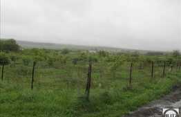 Teren de vanzare 650 mp, front 50 ml, PUZ in lucru