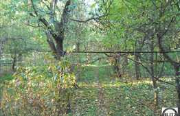 2900 mp in zona Pietei Cipariu!