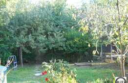 2900 mp in zona Pietei Cipariu!