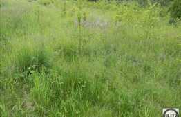 Teren de vanzare 3378 mp, utilitati la front!