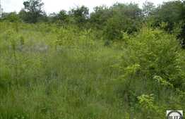 Teren de vanzare 3378 mp, utilitati la front!