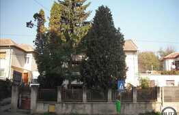 7000 mp de teren in Dambul Rotund! Artera Principala !