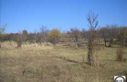 2438 mp in zona Dambul Rotund!