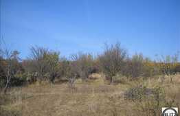 2438 mp in zona Dambul Rotund!