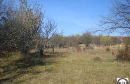 2438 mp in zona Dambul Rotund!