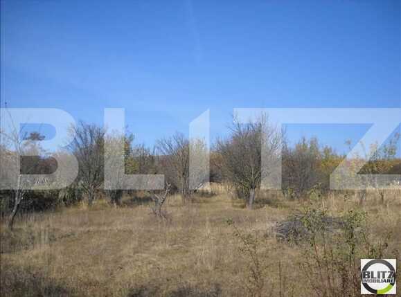 Teren de vânzare Dambul Rotund - 22602TV | BLITZ Cluj-Napoca | Poza5