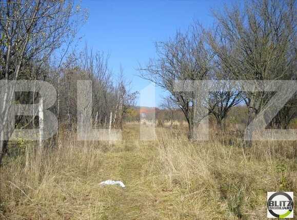 Teren de vânzare Dambul Rotund - 22602TV | BLITZ Cluj-Napoca | Poza2