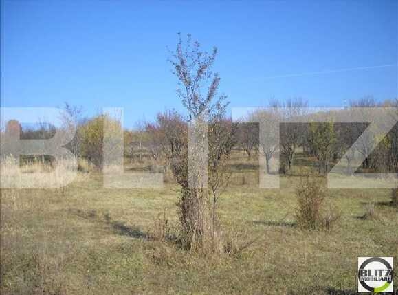 Teren de vânzare Dambul Rotund - 22602TV | BLITZ Cluj-Napoca | Poza6