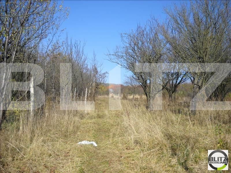 Teren de vânzare Dambul Rotund - 22602TV | BLITZ Cluj-Napoca | Poza2