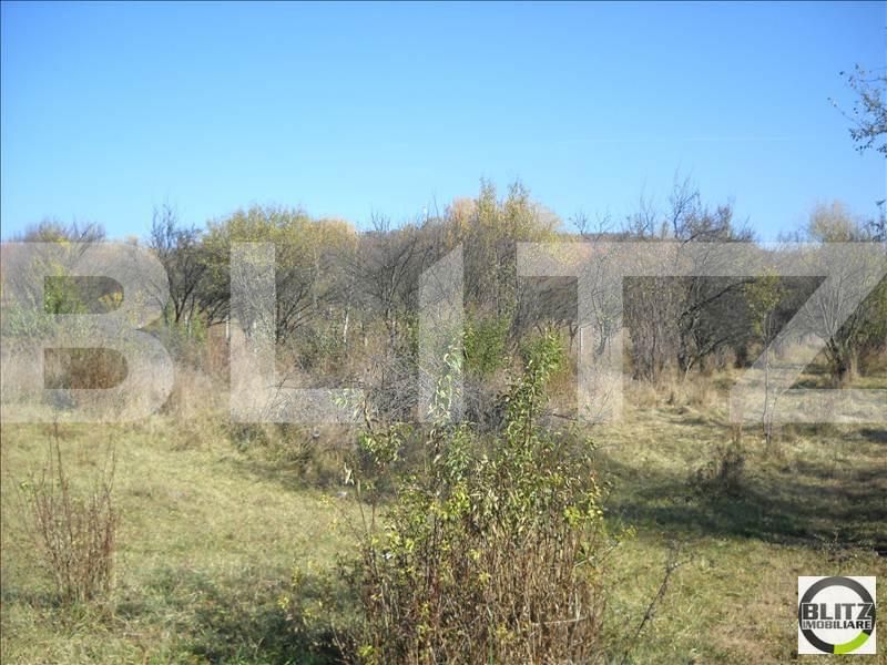 Teren de vânzare Dambul Rotund - 22602TV | BLITZ Cluj-Napoca | Poza3